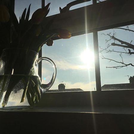 Brighton Boutique Garden Studio With Free Parking Εξωτερικό φωτογραφία