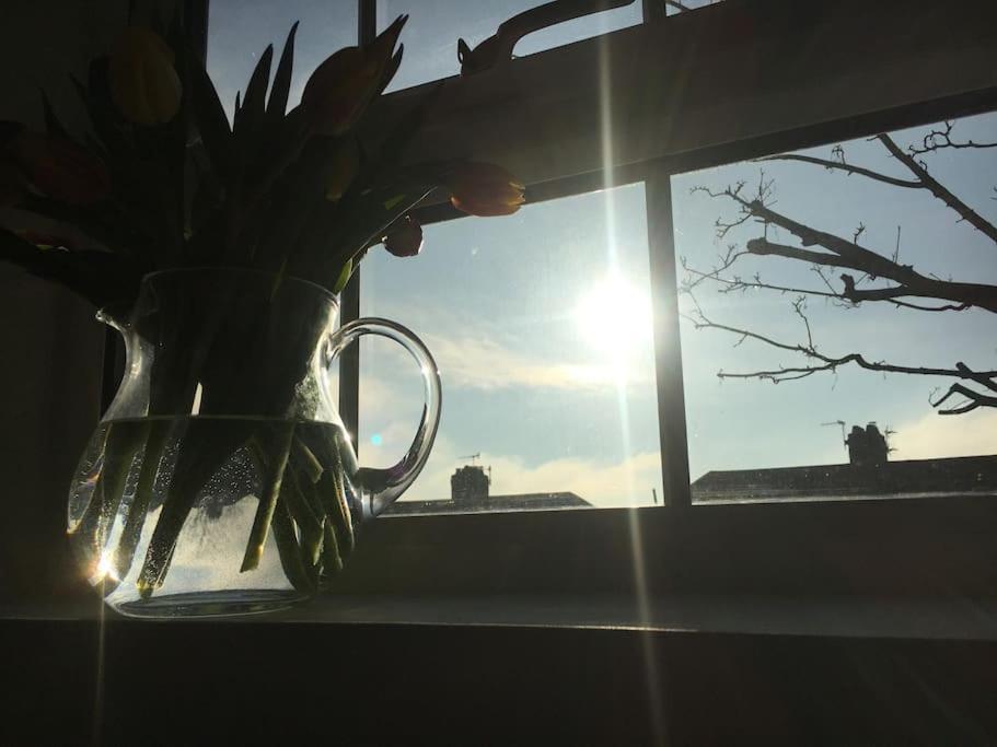 Brighton Boutique Garden Studio With Free Parking Εξωτερικό φωτογραφία